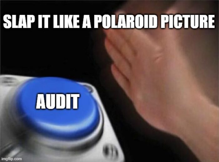 surfer-audit surfer-audit